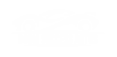 logo boomsuccessautos scaled